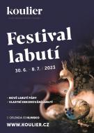 Festival labutí 1