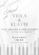 koncertní vystoupení na klavír a violu